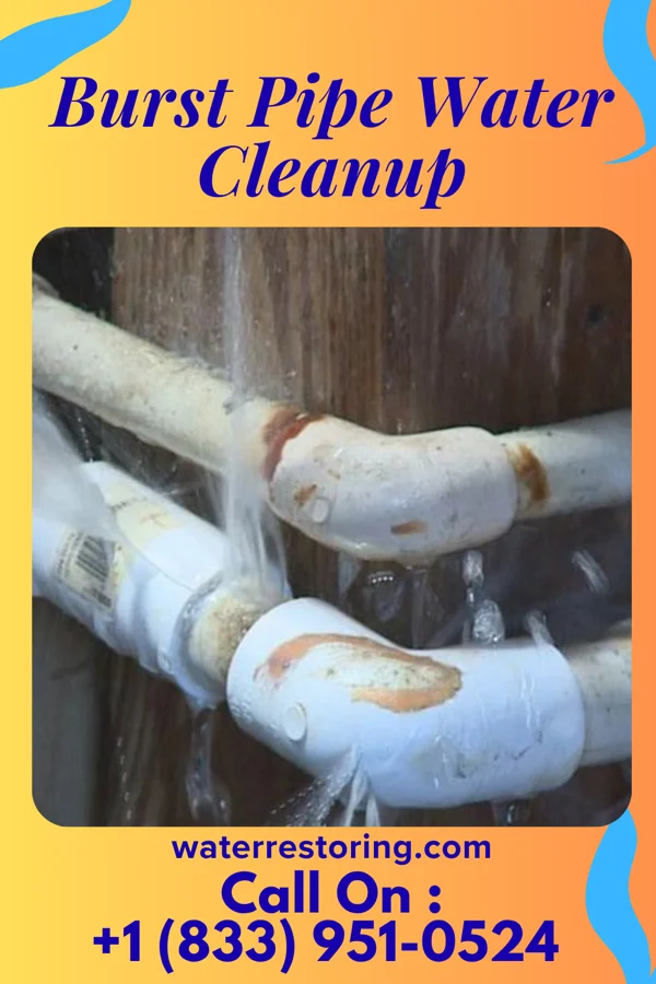 Burst Pipe Water Cleanup in Dalton, GA