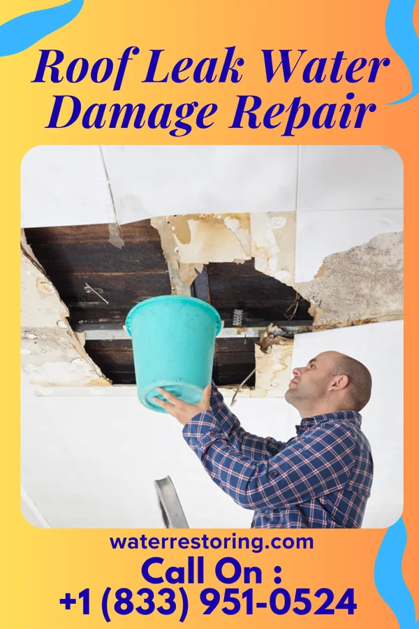 Roof Leak Water Damage Repair in Dalton, GA